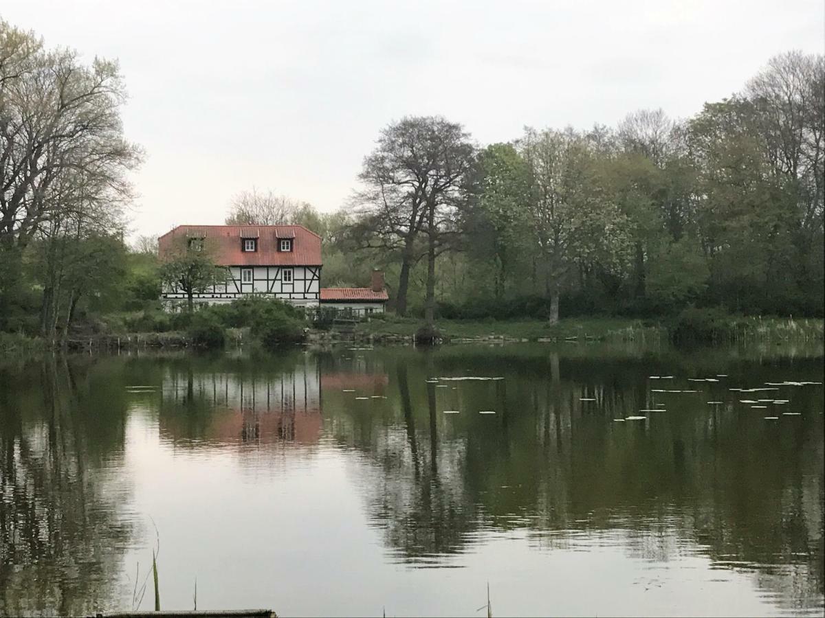 Ferienwohnung Hoppelnase Mit Eigener Sauna Langenstein Exterior photo